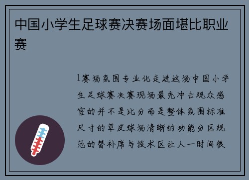 中国小学生足球赛决赛场面堪比职业赛