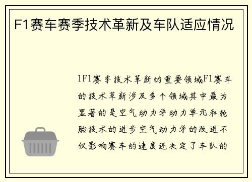 F1赛车赛季技术革新及车队适应情况