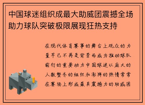 中国球迷组织成最大助威团震撼全场助力球队突破极限展现狂热支持